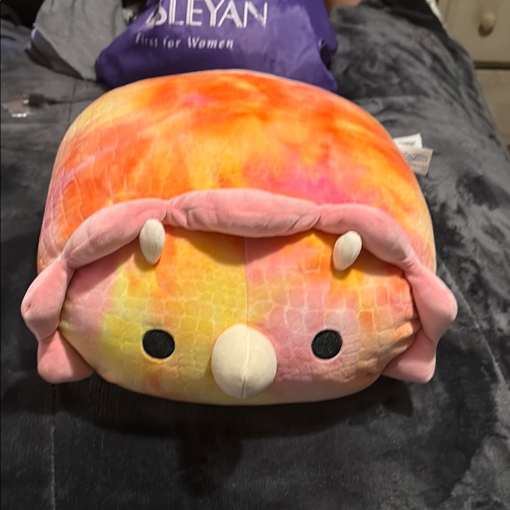 Squishmallows Pink and Orange Plush